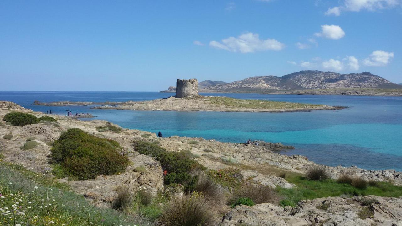 萨萨里I Due Ciuchini Sardinia公寓 外观 照片
