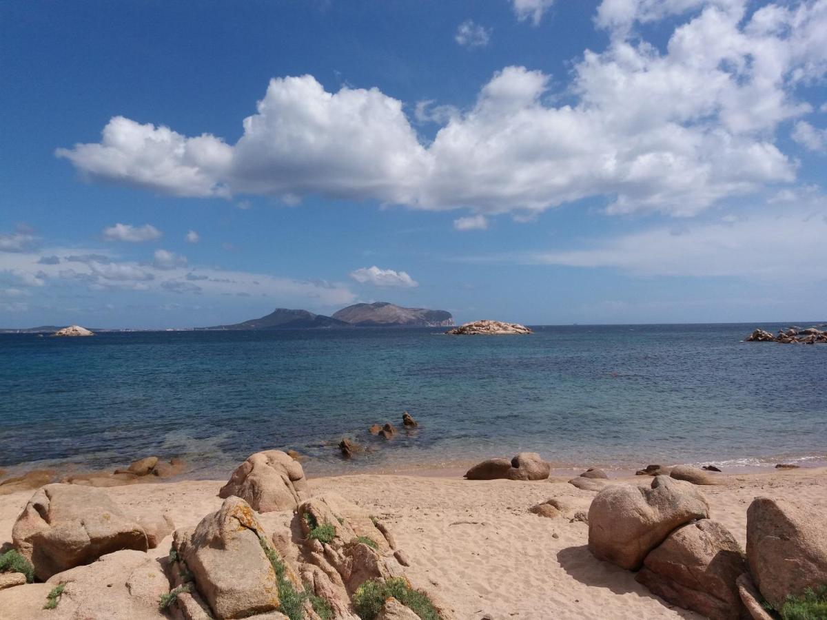 萨萨里I Due Ciuchini Sardinia公寓 外观 照片